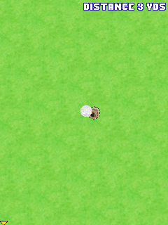 Pro Golf 2007 3D feat. Vijay Singh