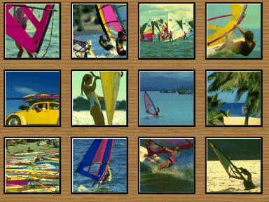 Puzzle on CD: Surfing