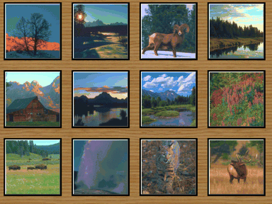 Puzzle on CD: Yellowstone National Park