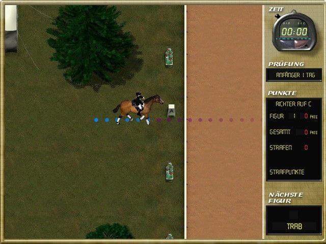 Riding Star