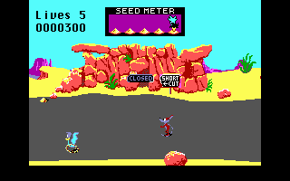 Road Runner