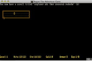 Rogue: The Adventure Game