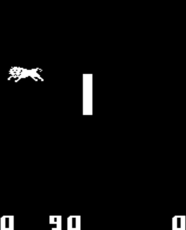 Safari