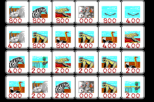 Safari Guns