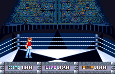 Saint Seiya: Ōgon Densetsu - Perfect Edition
