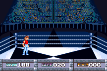 Saint Seiya: Ōgon Densetsu - Perfect Edition