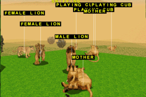 Savage: The Ultimate Quest for Survival