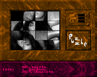 Sex Puzzle