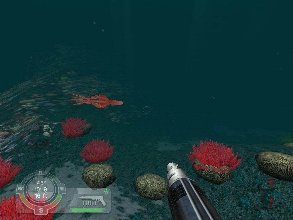 Shark! Hunting the Great White