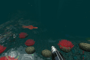 Shark! Hunting the Great White