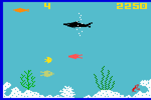 Shark! Shark!