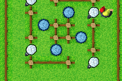 Sheep Mania