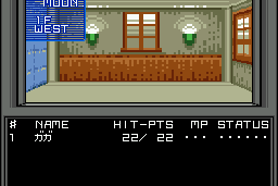 Shin Megami Tensei