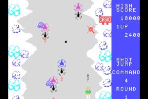 Ski Command