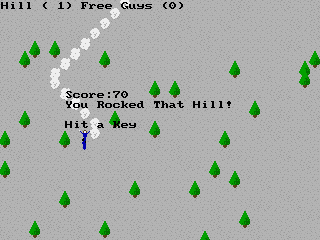 Ski King