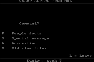 Snooper Troops