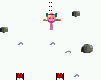 Snowboard Bob