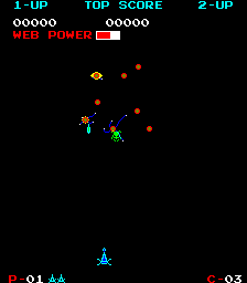 Spiders