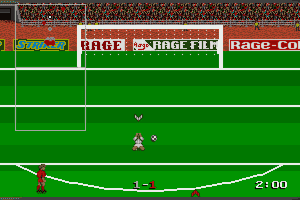 Striker