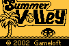 Summer Volley