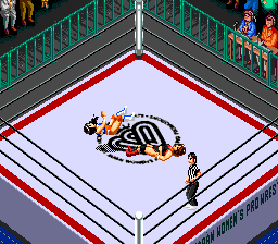 Super Fire Pro Wrestling Queen's Special