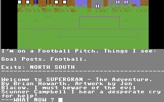 Super Gran: The Adventure