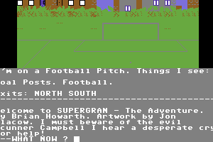 Super Gran: The Adventure