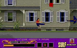 Surf Ninjas