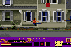 Surf Ninjas