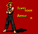 Surf Ninjas