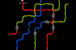 SWAT: Elite Troops