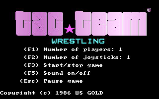 Tag Team Wrestling