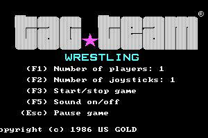 Tag Team Wrestling