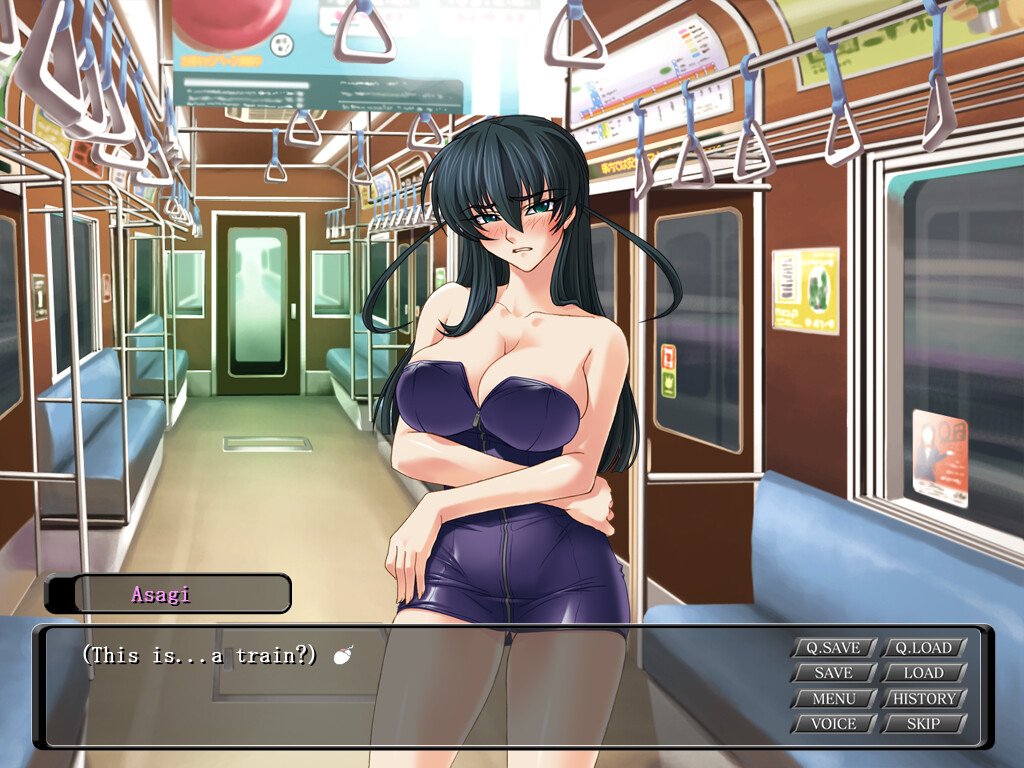 Taimanin Asagi Premium Box