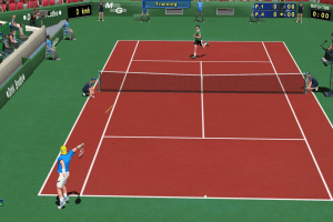 Tennis Elbow 2011