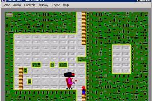 The Adventures of MicroMan