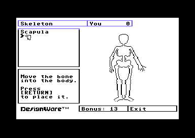 The Body Transparent
