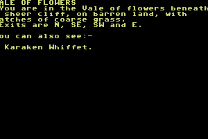 The Bounty Hunter