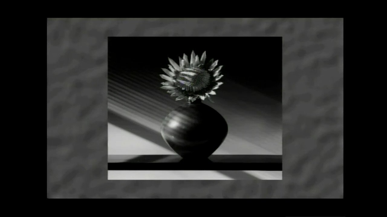 The Flowers of Robert Mapplethorpe