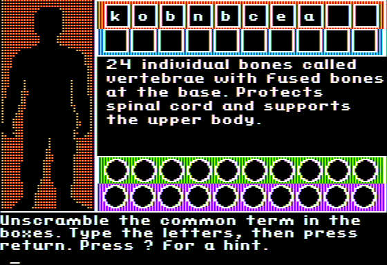 The Human Body and How it Works: The Skeletal and Muscular Systems