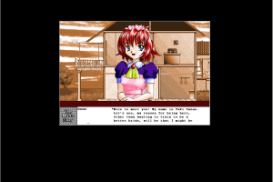 The Maid's Story