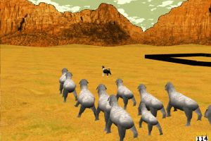 The Montana Sheepdog Challenge