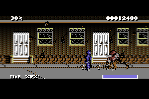 The Ninja Warriors