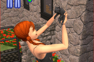 The Sims 2: Pets