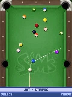 The Sims Pool