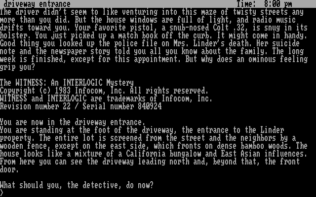 The Witness