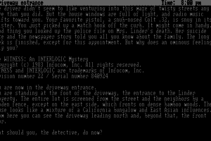 The Witness