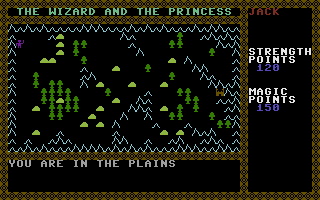 The Wizard and the Princess
