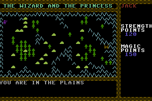 The Wizard and the Princess