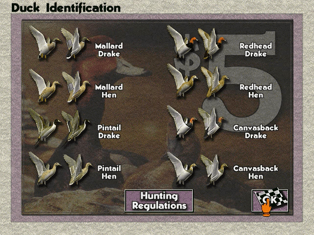 The Browning Duck Hunter